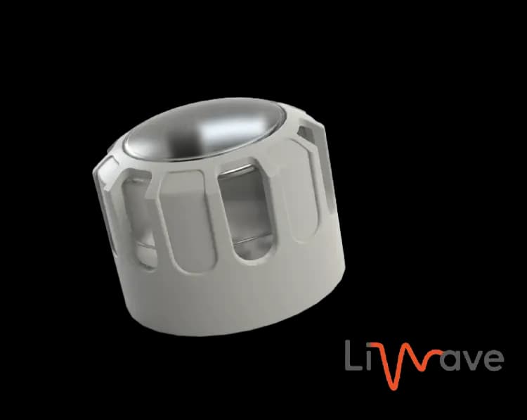 NEMA LiWAVE Node